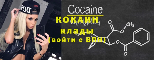 тгк Алексин