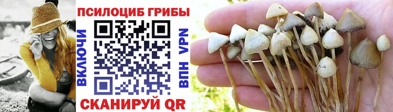 mega вход  где продают наркотики  Кораблино  Псилоцибиновые грибы Psilocybe 